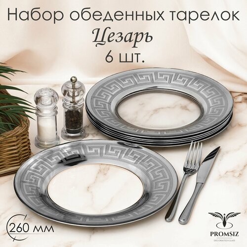 ����� ��������� ������� � �������� ����������� � ���������� �������� PROMSIZ ������, 26 ��, 6 ��., ������ ������ 2500 ����