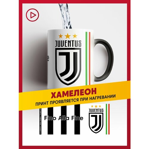 ���������� ������������ ������ �������� � ������� �������, Juventus FC, ������ ������ 2887 ����