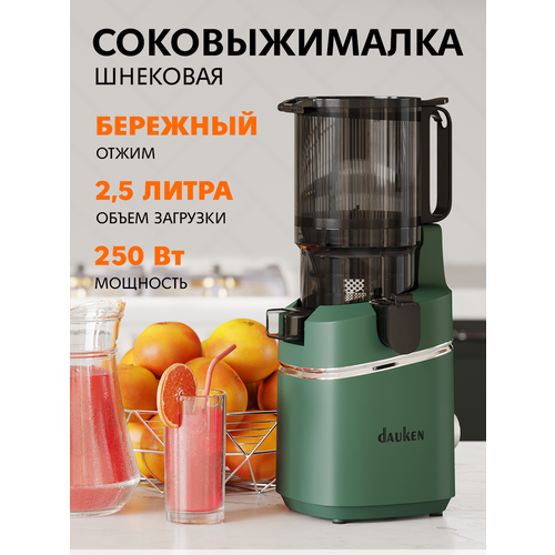 ������������� �������� Dauken DSJ480 ������������� ��� ����������, ������ ������ 18251 ����