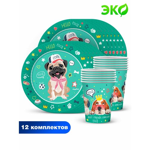 ����� ����������� �������� ������ ��� ��������� ND Play / ������� �� ������� (������� 23 ��, ������, �� 12 ��.), ������ ������ 1149 ����
