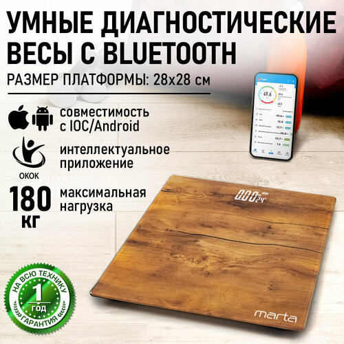 ���� ��������� ����� MARTA MT-SC3604 ���, ������ ������ 893 ����