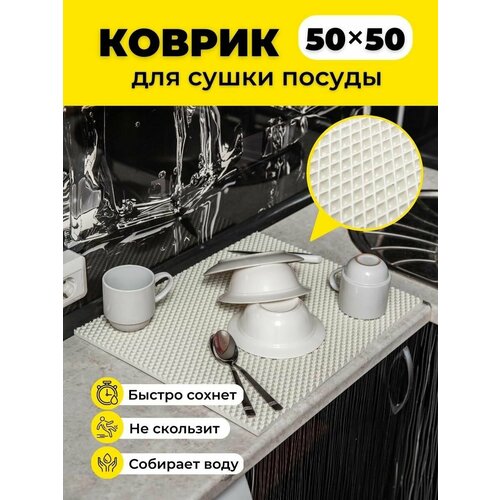 ������ ��� ����� ������ ��� �� ����� 50�50�� ����� ����, ������ ������ 1631 ����
