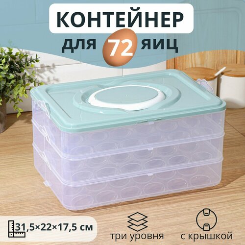 ��������� ��� ��� SKYPHOS 72 ������, ���� ����, ������ ������ 2836 ����