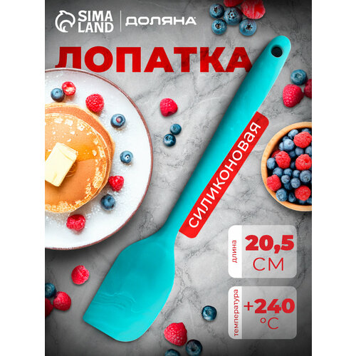������� ������ ������, 20,5 ��, ���� ���������, ������ ������ 223 ����