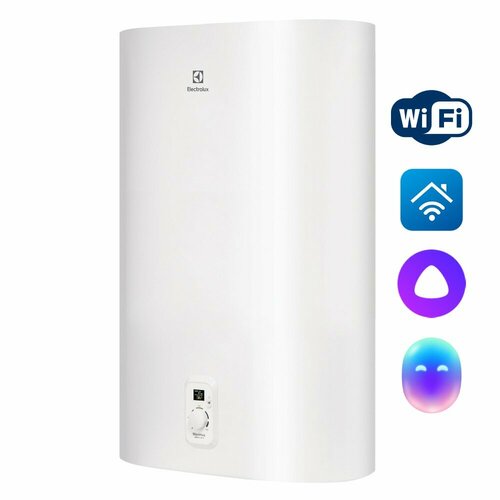 ��������������� Electrolux EWH 80 Maximus, ������ ������ 33172 ����