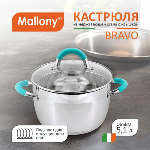 �������� BRAVO, ����� 5,1 �, �� ���� ����� � ������� �� ������������ ������, ������ 22*13,5 ��, ������ ������ 9139 ����