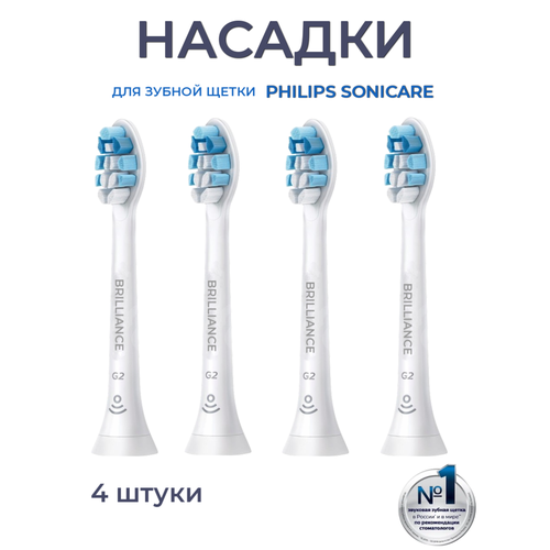 ������� ��� ������ ����� ����������� � Philips Sonicare C2, 4 ��., ������ ������ 1350 ����