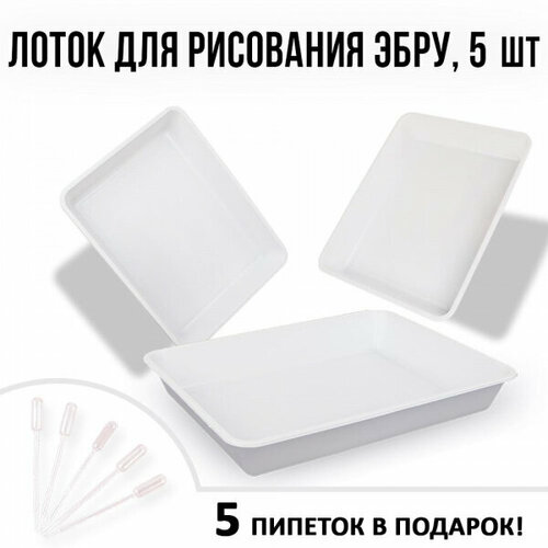 ����� ��� ���� �4 � ������� ������� ������� ��� ���������� Ecoved (������), 5 ��., ������ ������ 1031 ����
