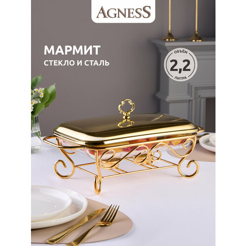 ������ ������� gold 2,2l Agness (193837), ������ ������ 3565 ����
