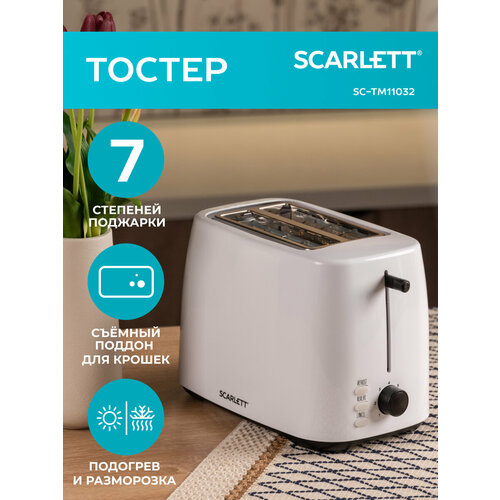 ������ Scarlett SC-TM11032 RU, �����, ������ ������ 1673 ����
