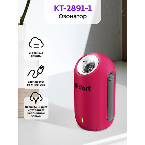 �������� Kitfort ��-2891-1 �����-���������, ������ ������ 1890 ����