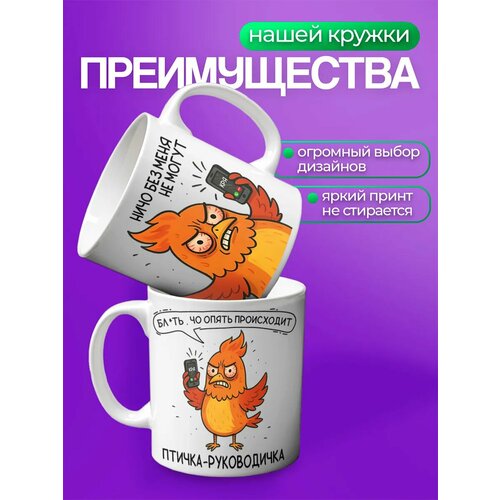 ������ ������������ PNP NARD, 330 ��, � ������� ������� ������-����������� � �������, ������ ������ 1589 ����
