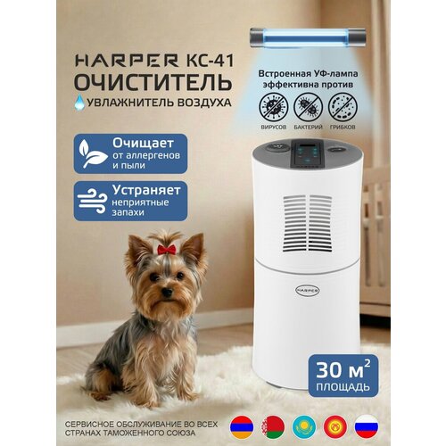 ���������� ������� � �������� ���������� HARPER KC-41, �����, ������ ������ 11554 ����