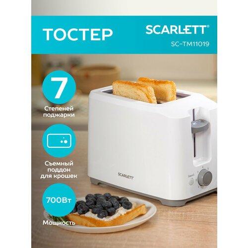 ������ Scarlett SC-TM11019, �����, ������ ������ 1600 ����