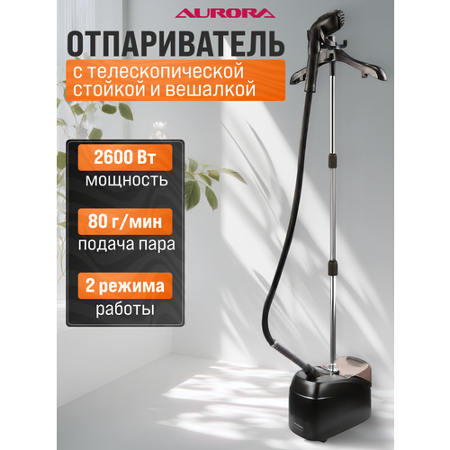 ������������ ��� ������ AURORA PRO 2400 � ������� �� ������, 2600 ��, ������ ���. � ������������� ���������� ������., ������ ������ 22900 ����