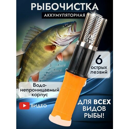 ���������� ������������� ������������ � ������������� � �������� ����, ������ ������ 6500 ����