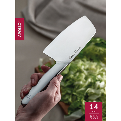 ��� ����� �������� ��� ����� � �������� ���� Apollo 