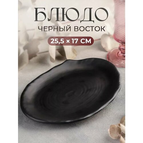 ����� �׸���� ������, 25,5?17?2,5 ��, ���� ������, ������ ������ 1120 ����