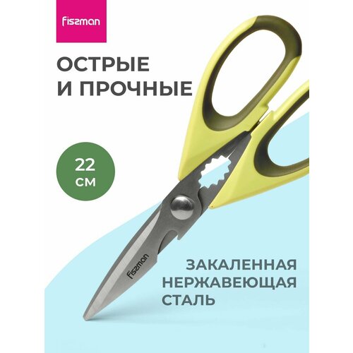 ������� �������� 22 �� �� ����������� �����, ������ ������ 1790 ����