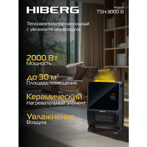 ��������������� � ������������ ������� HIBERG TSH-3000 B, 2�1, 30 �? ������� ��������, ������, ������ ������ 10100 ����