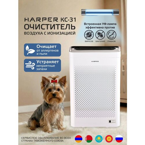���������� ������� HARPER KC-31, �����, ������ ������ 11437 ����