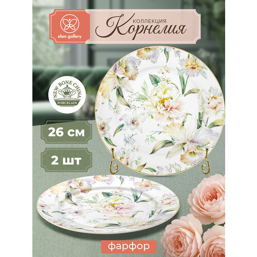 ����� ������� 2 �������� 26,5�26,5�2 �� Elan Gallery ��������, ������ ������ 2468 ����