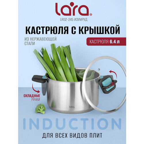 �������� � ������� LARA LR02-245 - ����� �������, 24 ��, 6,4 �, 5-������� ��������������� ���, �������� �����, ������ ������ 5726 ����