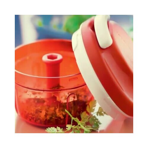 ������������ ����� ������� 300 �� � �������������� ������� Tupperware, ������ ������ 1299 ����