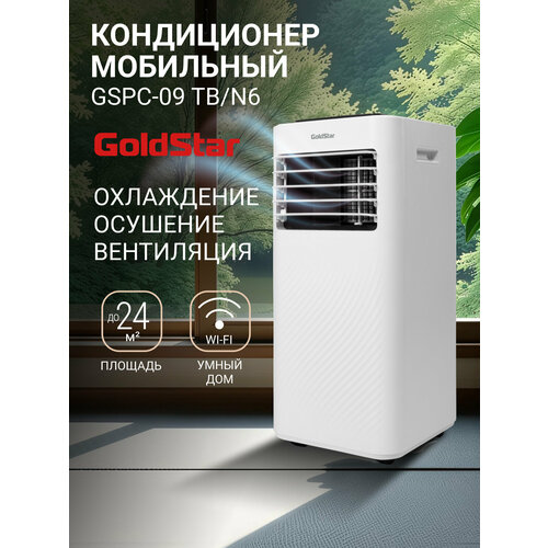 ����������� ��������� GoldStar GSPC-09 TB/N6, ������ ������ 25211 ����