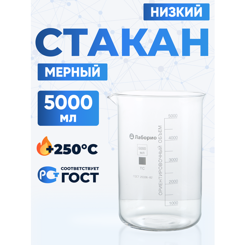 ������ 5000 �� (6 ��) (������������, ��� �, ������ � ��������� � �������, ������������), �-1-5000 ��, ������ ������ 34989 ����