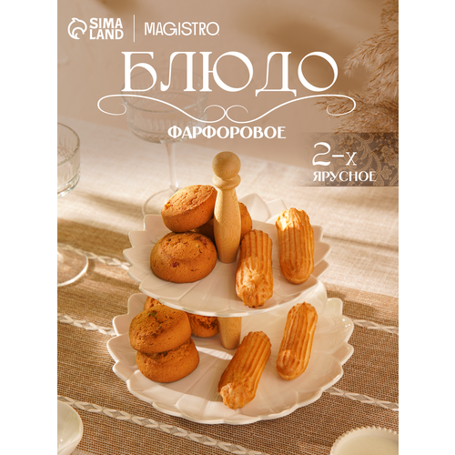 ����� �������� 2-� ������� BellaTenero ���������� ����������� d=20/25 ��, ���� �����, ������ ������ 1700 ����