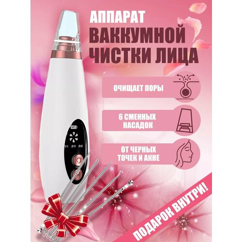 ��������� ���������� ��� ������ ���� �� ���� ������ ����� � ������, ������ ������ 1339 ����