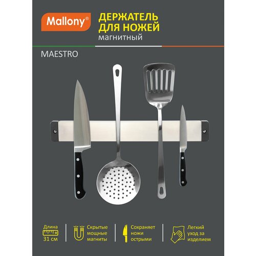 ��������� ��������� ��� ����� MAESTRO, 31 ��, ������ ������ 1070 ����