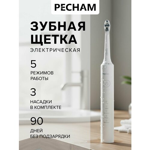 ������ ����� PECHAM 