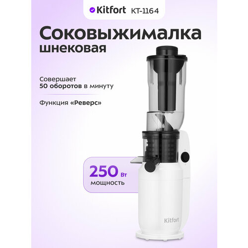 �������� ������������� Kitfort ��-1164, ������ ������ 7590 ����
