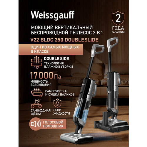 ������������ ������������ ������� ����� � ������� ������ Weissgauff V22 BLDC 250 Graphite DoubleSide AquaPro SelfDry, ������ ������ 29691 ����