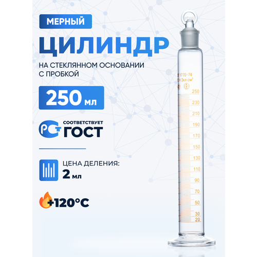 ������� ������������ 250 �� (������: ���������� 2 - � �������������� �������, �� ���������� ���������) 2-250-2, ������ ������ 3729 ����