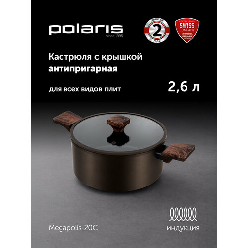 �������� � ������� Polaris Megapolis-20C ��� ������������ �����, 2,6 �, ������ ������ 3887 ����