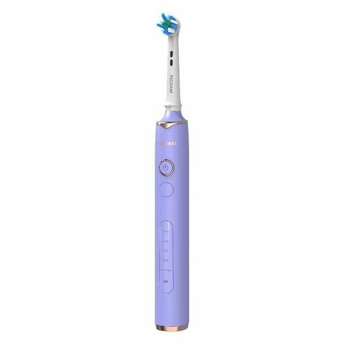 ������������� ������ ����� Pecham PC-3202, ������ ������ 2929 ����