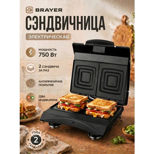 ����������� 750 �� ������ ������� 11*13 �� BRAYER BR2204, ������ ������ 2643 ����