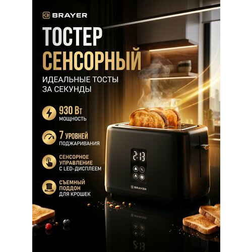 ������ BRAYER BR2113, ������ ������ 3348 ����