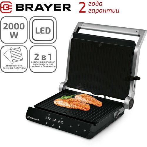 ����� � ����� ������������� BRAYER BR2008, ������ ������ 23746 ����