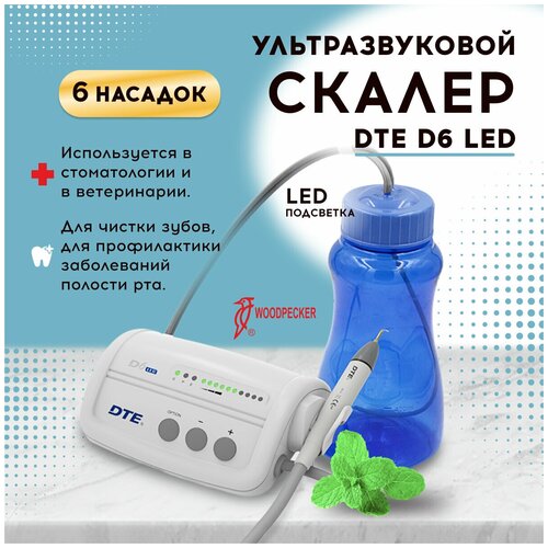 ������ ��������������, ������ ������ 22187 ����
