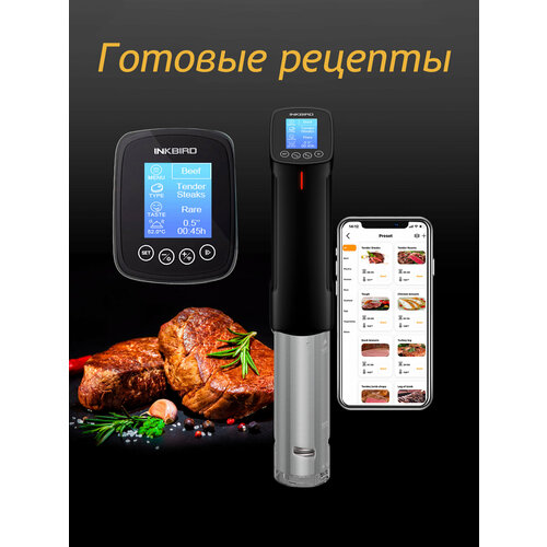 ����� ��������� INKBIRD ISV-100W, � ���������� WI-FI, ������ ������ 21753 ����