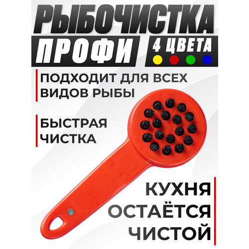 ���������� �������, �������� ��� ��� ������ ����, �������� ��� ���� �������, �����, ������ ������ 277 ����