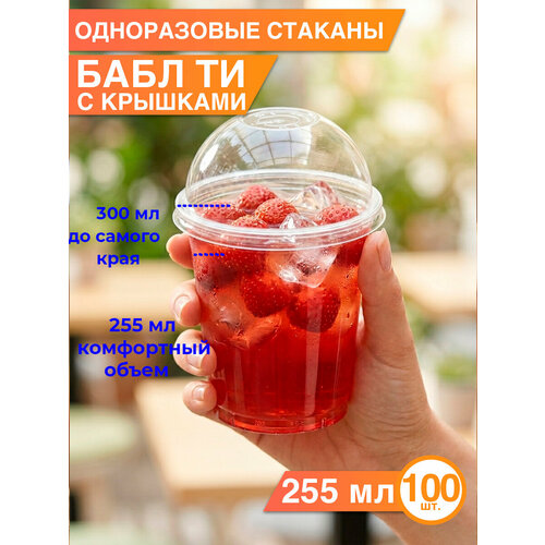 ����������� ������� ����������� 255 �� � ��������� �������, 100 ��, ������ ������ 2788 ����