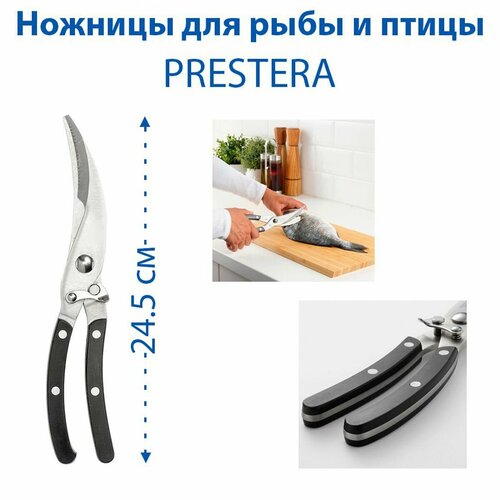 ������� ��� ���� � ����� - PRESTERA (��������), ��������, 24.5 ��, ���� ������, 1 ��, ������ ������ 2305 ����