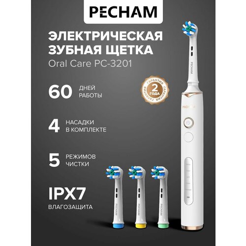 ������������� ������ ����� PECHAM 