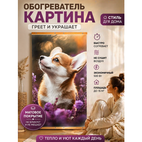 ��������� ������������ ������������, 105�60 �� ����� Totmart, �������, �������� � ����� ��������, ������ ������ 4000 ����