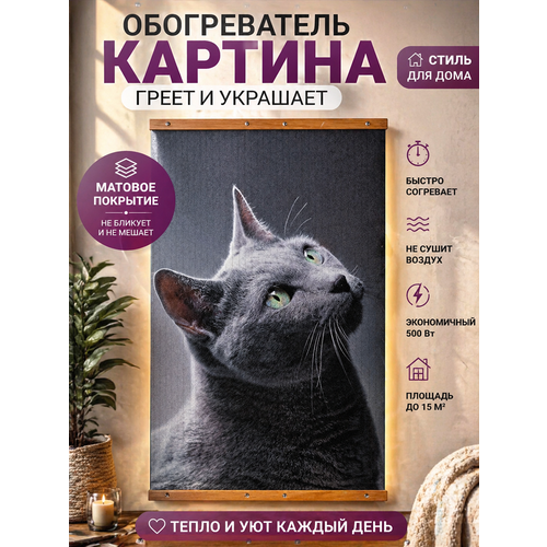 ��������� ������������ ������������, 105�60 �� ����� �� ����� ���� ������� Totmart, �������, �������� � ����� ��������, ������ ������ 4000 ����
